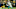 (Photo by Dylan Buell/Getty Images) Marquez Valdes-Scantling (Photo by Dylan Buell/Getty Images) Marquez Valdes-Scantling