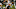 (Photo by Robert Reiners/Getty Images) Phillip Lindsay (Photo by Robert Reiners/Getty Images) Phillip Lindsay