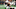 (Photo by Ronald Martinez/Getty Images) Lil’Jordan Humphrey (Photo by Ronald Martinez/Getty Images) Lil’Jordan Humphrey