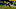 (Photo by Ric Tapia/Icon Sportswire via Getty Images) Everson Griffen (Photo by Ric Tapia/Icon Sportswire via Getty Images) Everson Griffen
