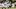 (Photo by Stephen Lew/Icon Sportswire via Getty Images) Marcus Sherels (Photo by Stephen Lew/Icon Sportswire via Getty Images) Marcus Sherels