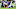 Derek Carr, Oakland Raiders, Minnesota Vikings Derek Carr, Oakland Raiders, Minnesota Vikings