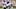 Minnesota Vikings Minnesota Vikings