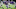 (Photo by Adam Bettcher/Getty Images) Kyle Rudolph (Photo by Adam Bettcher/Getty Images) Kyle Rudolph