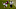 Minnesota Vikings Minnesota Vikings