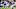 Minnesota Vikings