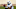 Minnesota Vikings Minnesota Vikings