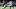 Minnesota Vikings Minnesota Vikings