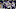 Minnesota Vikings Minnesota Vikings