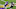 Minnesota Vikings Minnesota Vikings