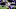 (Photo by Chris Graythen/Getty Images) Danielle Hunter (Photo by Chris Graythen/Getty Images) Danielle Hunter