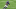 Minnesota Vikings Minnesota Vikings
