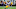 Minnesota Vikings Minnesota Vikings