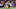 Minnesota Vikings Minnesota Vikings