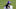 Minnesota Vikings Minnesota Vikings