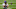 Minnesota Vikings Minnesota Vikings