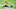 Minnesota Vikings Minnesota Vikings