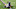 Minnesota Vikings Minnesota Vikings
