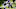 Minnesota Vikings Minnesota Vikings