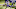 Minnesota Vikings Minnesota Vikings