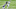 Minnesota Vikings Minnesota Vikings