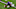 Minnesota Vikings Minnesota Vikings