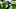 Minnesota Vikings Minnesota Vikings