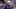 Minnesota Vikings Minnesota Vikings