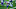 Minnesota Vikings Minnesota Vikings