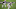Minnesota Vikings Minnesota Vikings