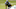 Minnesota Vikings Minnesota Vikings