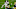 Minnesota Vikings Minnesota Vikings