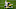 Minnesota Vikings Minnesota Vikings
