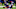 Minnesota Vikings Minnesota Vikings