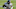 Minnesota Vikings Minnesota Vikings