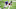 Minnesota Vikings