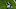Minnesota Vikings