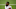 Chicago Bears Chicago Bears