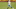 Minnesota Vikings Minnesota Vikings