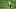 Minnesota Vikings Minnesota Vikings