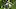 Minnesota Vikings Minnesota Vikings