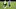 Minnesota Vikings Minnesota Vikings