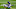 Minnesota Vikings Minnesota Vikings