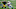 Minnesota Vikings Minnesota Vikings
