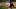 Minnesota Vikings Minnesota Vikings