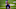 Minnesota Vikings Minnesota Vikings