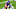 Minnesota Vikings Minnesota Vikings