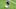 Minnesota Vikings Minnesota Vikings