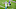 Minnesota Vikings Minnesota Vikings
