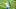 Minnesota Vikings Minnesota Vikings